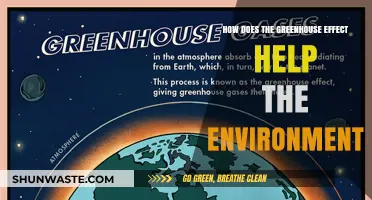 The Greenhouse Effect: Earth's Natural Climate Regulator and Environmental Ally