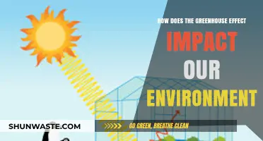 Greenhouse Effect: Environmental Impacts and Global Climate Change Explained