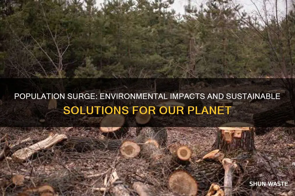 how does the growing population affect the environment