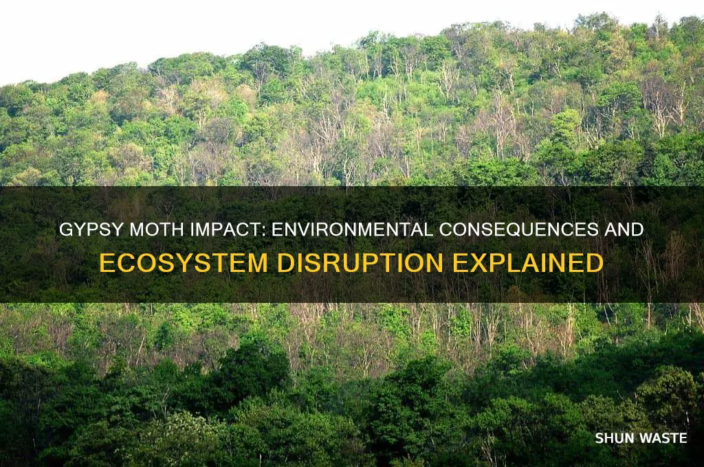how does the gypsy moth affect the environment