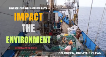 Gyres Garbage Patch: Environmental Impact and Ecosystem Consequences Explained