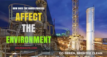 Environmental Impact of the Haber Process: Nitrogen, Emissions, and Sustainability