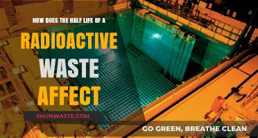 Half-Life Impact: How Radioactive Waste's Decay Affects Environment and Safety