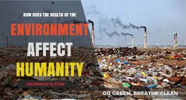 Environmental Health Impacts: How Nature's Well-Being Shapes Humanity's Future