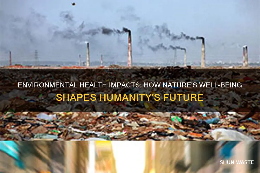 how does the health of the environment affect humanity