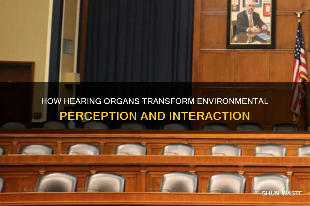 how does the hearing senses organ change the environment