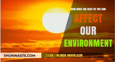 Sun's Heat: Environmental Impacts and Ecosystem Changes Explained