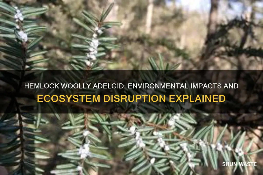 how does the hemlock wooly adeligid affect the environment