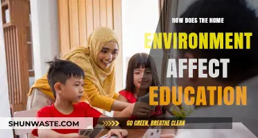 Home Environment's Impact on Learning and Academic Success Explored