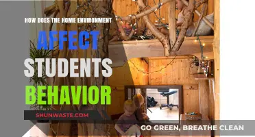 Home Environment's Impact: Shaping Student Behavior and Academic Success