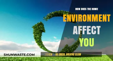 Home Environment's Impact: Shaping Your Health, Mood, and Productivity