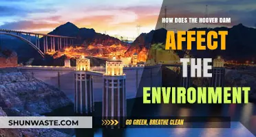Hoover Dam's Environmental Impact: Benefits, Challenges, and Ecosystem Changes