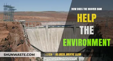 Hoover Dam's Environmental Impact: Sustainable Power and Ecosystem Benefits