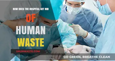 Hospital Waste Management: Efficient Disposal of Human Byproducts Explained
