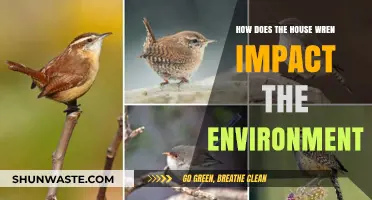 House Wrens: Their Ecological Role and Environmental Impact Explained