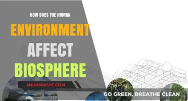 Human Impact on the Biosphere: Exploring Our Environment's Influence