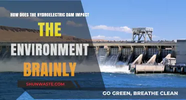 Hydroelectric Dams: Environmental Impacts and Ecosystem Changes Explained