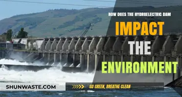 Hydroelectric Dams: Environmental Impacts and Ecosystem Consequences Explored
