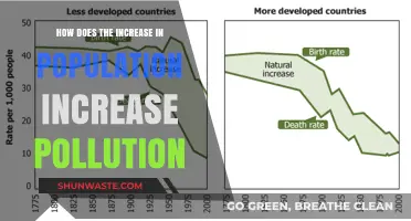 Population Boom: A Recipe for Pollution Woes