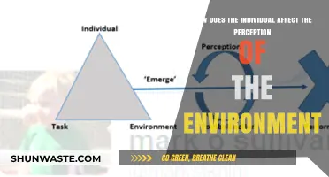 How Personal Perspectives Shape Our Environmental Awareness and Actions