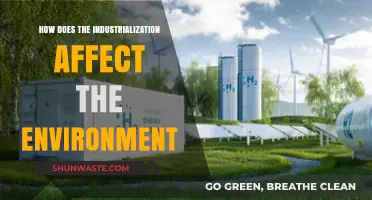 Industrialization's Environmental Impact: Pollution, Climate Change, and Ecosystem Disruption