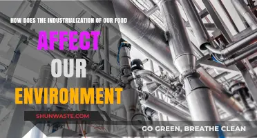 Industrialized Food Systems: Environmental Impacts and Sustainable Solutions