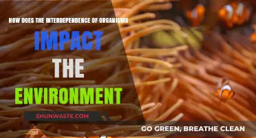 Interconnected Life: How Organisms Shape and Sustain Our Environment