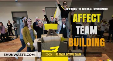 Internal Environment's Impact on Effective Team Building Strategies