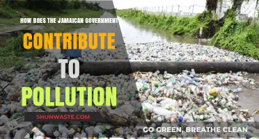 Jamaica's Government: Unknowingly Polluting the Island