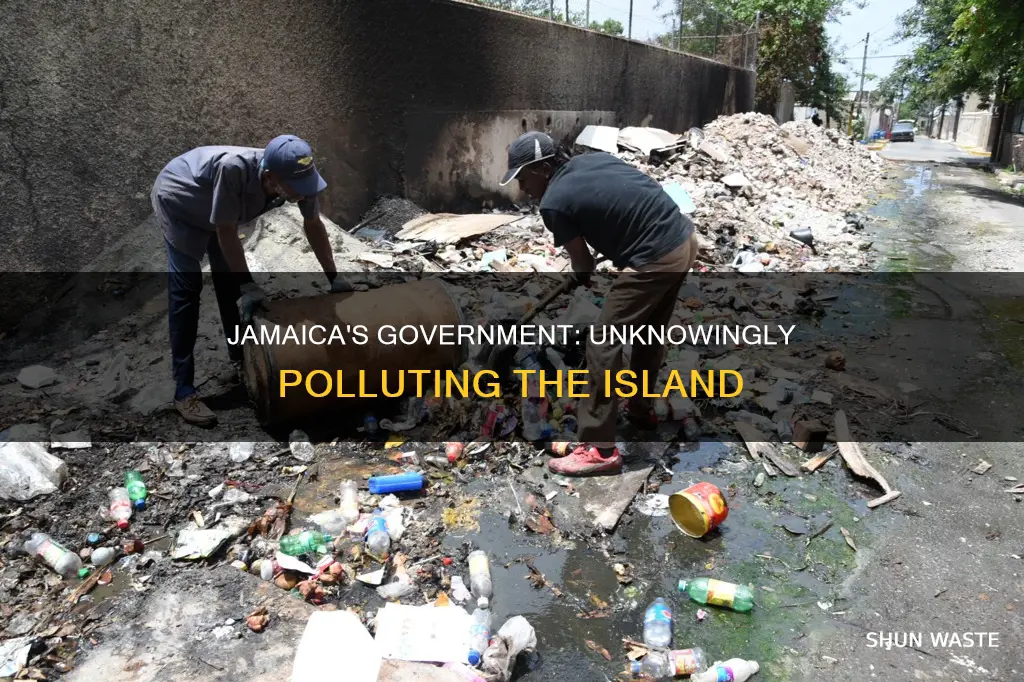 how does the jamaican government contribute to pollution