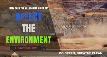 Kalgoorlie Super Pit's Environmental Impact: Challenges and Consequences Explored