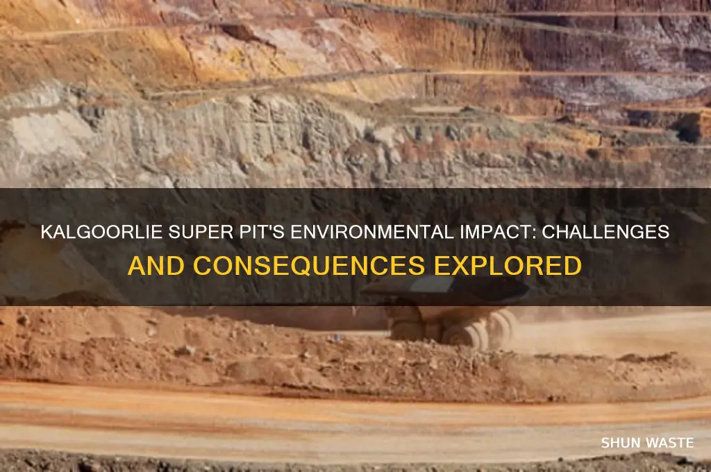 how does the kalgoorlie super pit affect the environment
