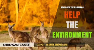 Kangaroos' Eco-Impact: How These Marsupials Benefit the Environment