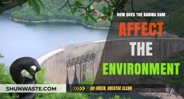 Kariba Dam's Environmental Impact: Ecosystem Changes and Ecological Consequences