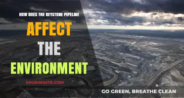 Keystone Pipeline's Environmental Impact: Risks, Consequences, and Ecosystem Threats
