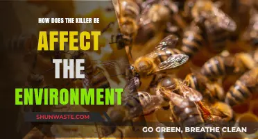 Killer Bees' Environmental Impact: Pollination, Biodiversity, and Ecosystem Disruption