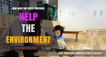 Kyoto Protocol's Environmental Impact: Reducing Emissions, Protecting Our Planet