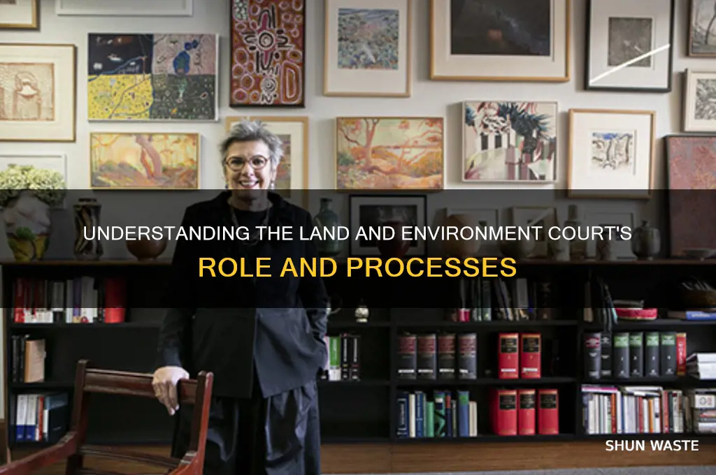 how does the land and environment court work