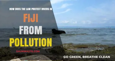 Fiji's Laws: Safeguarding Rivers from Pollution