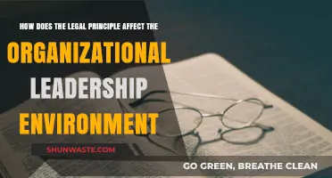 Legal Principles Shaping Organizational Leadership: Impact and Adaptation Strategies