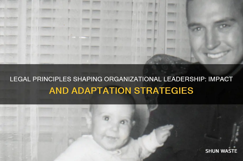 how does the legal principle affect the organizational leadership environment