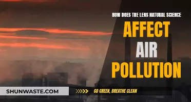 Natural Lens Science: Air Pollution's Impact and Solutions