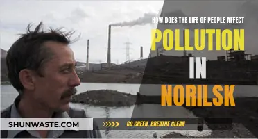 Human Impact: Pollution in Norilsk