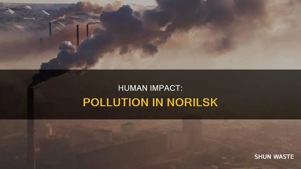 how does the life of people affect pollution in norilsk