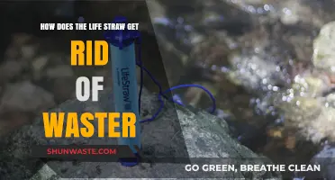 LifeStraw's Revolutionary Water Filtration: How It Eliminates Waste and Purifies