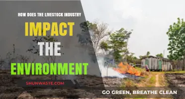 Livestock's Environmental Footprint: Impacts, Challenges, and Sustainable Solutions