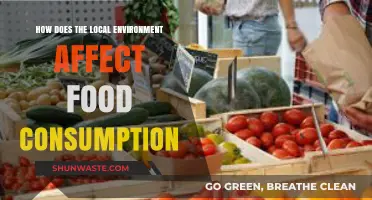 Local Environment's Impact on Food Consumption: Exploring Dietary Influences