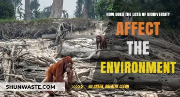 Biodiversity Loss: Devastating Impacts on Ecosystems and Environmental Stability