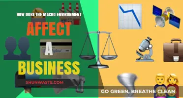 Macro Environment's Impact: Shaping Business Strategies and Outcomes