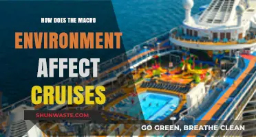 Macro Environment's Impact: Shaping the Cruise Industry's Future
